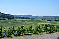 WRC-D 20-08-2010 198.jpg